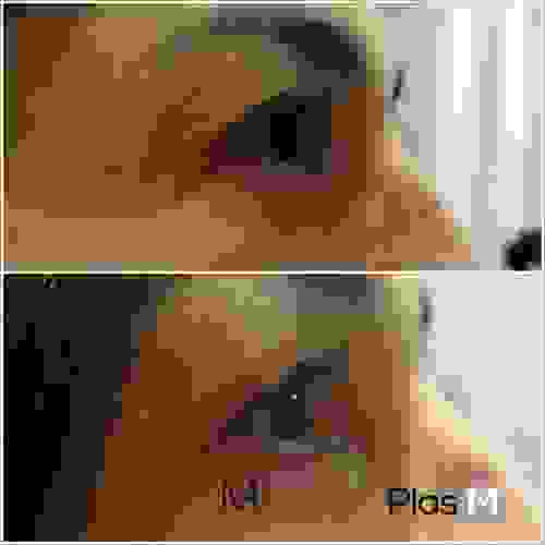 plasm-vergleichsbild-augen-seite-ii.jpg