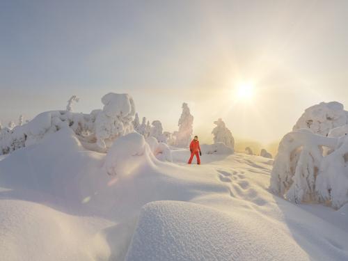 Der finnische Winter im Norden zeigt viele Gesichter