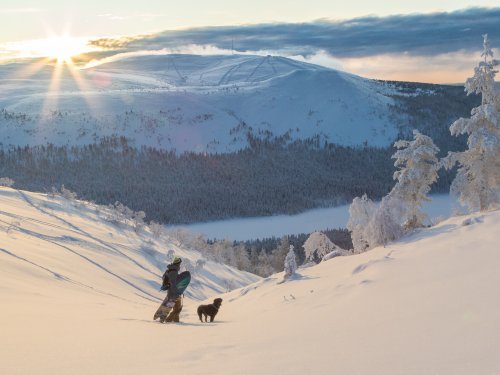 Lapland Hotels & Lapland Safaris: mit 21 STF-Siegeln Pioniere des nachhaltigen Tourismus in Finnland