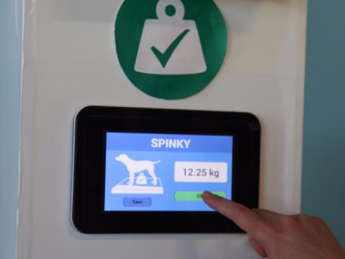Internet of Things arrives to animal health care